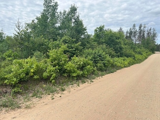 V/L E 38th St, Cherry Valley Township, MI 49642