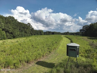 0 Scotland Rd, Bentonia, MS 39040