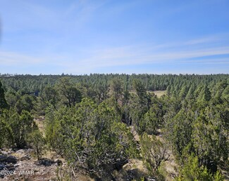 2955 E Lookout Ln, Overgaard, AZ 85933