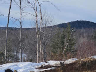 Lot #135 Pratt Rd, Wilton, ME 04294