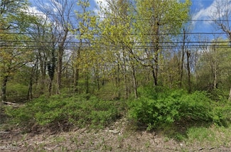VL Som Center Rd, Pepper Pike, OH 44124