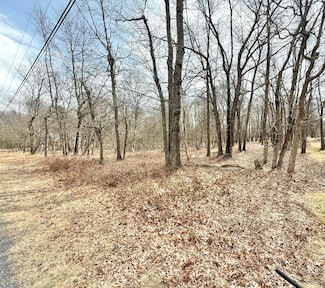 0 Ev1234 Chapman Cir, Albrightsville, PA 18210