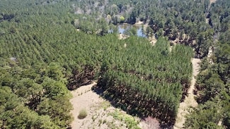 TBD County Road 2780, Colmesneil, TX 75938