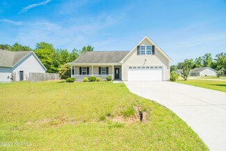 200 Chandler Simpson Ct, Beulaville, NC 28518