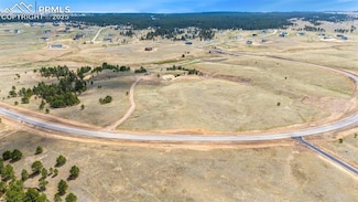 10438 Alamar Way, Black Forest, CO 80908