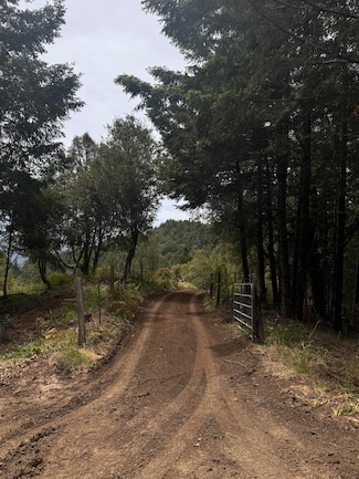 +/- 80 Acres Conklin Creek Rd, Mattole, CA 95558