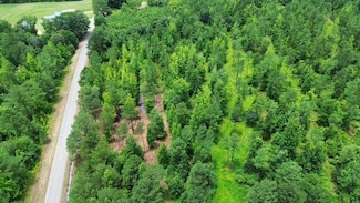 1802 Mulberry Rd, Sulligent, AL 35586