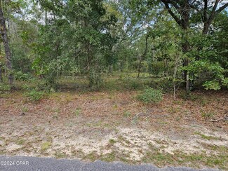 00 Quail Ridge Dr, Chipley, FL 32428