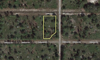 302 Hibiscus Dr, Lake Wales, FL 33855