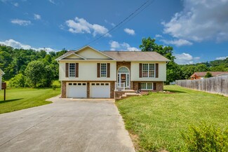 181 Hunters Run Ln, Mount Carmel, TN 37645
