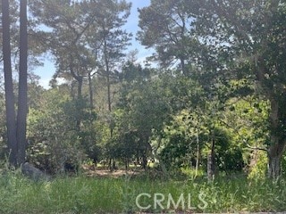 0 Bradford Rd Unit SC25109618, Cambria, CA 93428