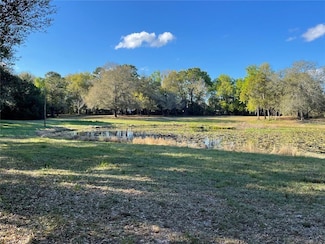 195 Lake Molly Ave, Deland, FL