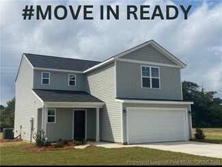 111 (Lot 5) Buggy Top Ln, Autryville, NC 28318