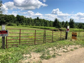 8654 Cream Hill Rd, Arkport, NY 14807