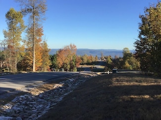 245 Lookout View Dr, Jasper, TN 37347
