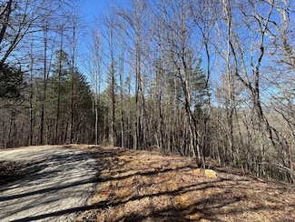 Trac I 2 Crockett Mountain Ln, Hayesville, NC 28904