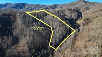 15 +/- Acres Riddle Branch Rd, Burnsville, NC 28714