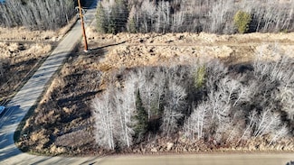 Parcel C Parameter, Deer River, MN 56636