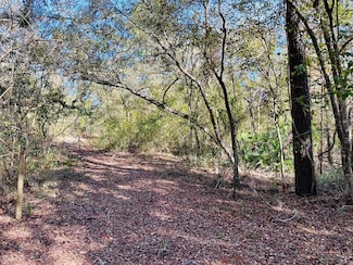 0 SE 229th St, Old Town, FL 32680