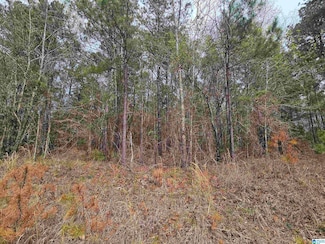 352 Hunters Crossing Rd Unit 45, Odenville, AL 35120
