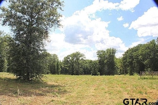 915 Stone Chimney Rd (Lot 9 Cr 3608), Bullard, TX 75757