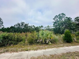 713 Ryan Dr, Carrabelle, FL 32322