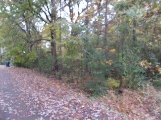 211 Nancy Ave, Biscoe, NC 27209