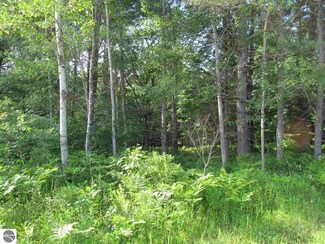 0 W Cadillac Rd, Falmouth, MI 49632