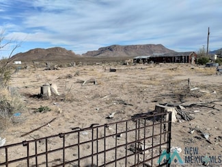 8380 Dona Ana Rd Rd SE, Deming, NM 88030
