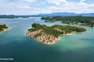 0 Douglas Lake Island Unit 1306919, Dandridge, TN 37725