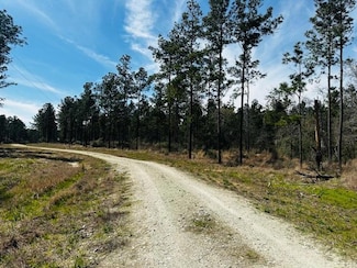 5-6 Laird Lane Farm To Market Road 357, Apple Springs, TX 75926