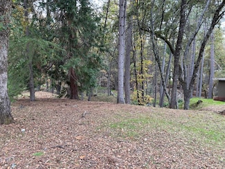 12884 Golden Trout Way, Penn Valley, CA 95946