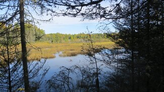 ON Partridge Ln, Boulder Junction, WI 54512