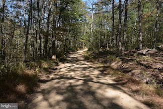 33+ ACRES Quail Run Ln, Winchester, VA 22602