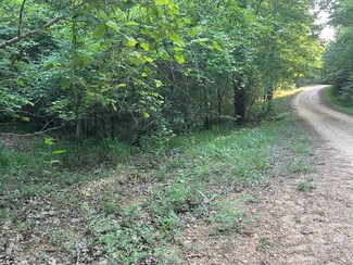 00 Pleasant Ridge Dr, Hamilton, AL 35570