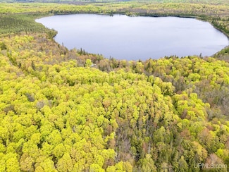 On F R 8300, Marenisco Township, MI 49947