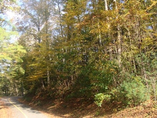 TBD Otter Creek Trail, Fancy Gap, VA 24328