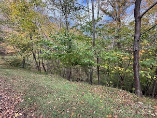 92 Goldenleaf Rd, Mars Hill, NC 28754