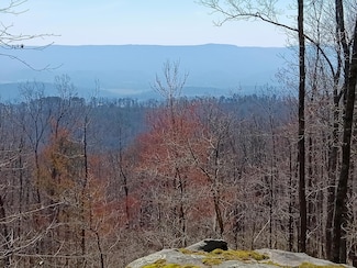 0008 Harlee Vista, Pikeville, TN 37367