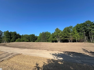 Lot #6 E Bellinger Rd, Cedar, MI 49621