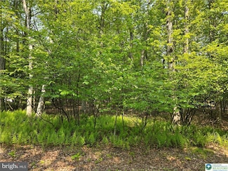 163 Piney Woods Dr, Jim Thorpe, PA 18229