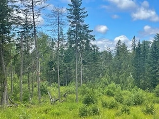 000 Beckwith Rd, Cornville, ME 04976