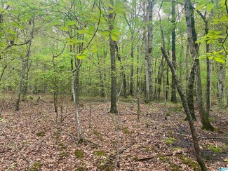2499 Carter Grove Rd Unit 1, Hazel Green, AL 35750