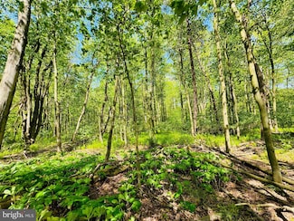 Lot: 37 Paradise Rd, Todd Township, PA 16657