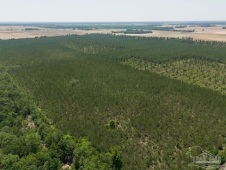 12 Bud Diamond Rd, Jay, FL 32565