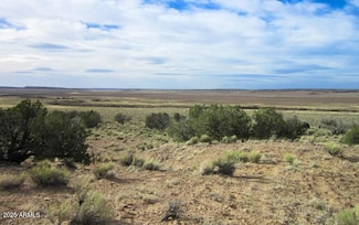 000 N6474 -- Unit 216, Saint Johns, AZ 85936