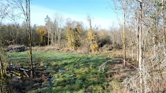 0 Jackson Hwy Unit NWM2453258, Toledo, WA 98591