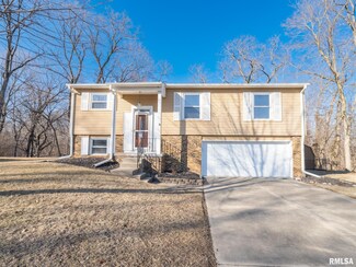 4911 W Hopewood Ln, Peoria, IL 61607