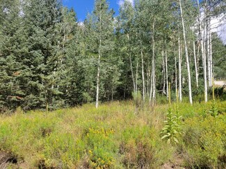 4590 N Bryce Woodlands Dr, Duck Creek, UT 84762