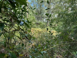 Lot 20,21,22 SW Peach Blossom St, Dunnellon, FL 34431